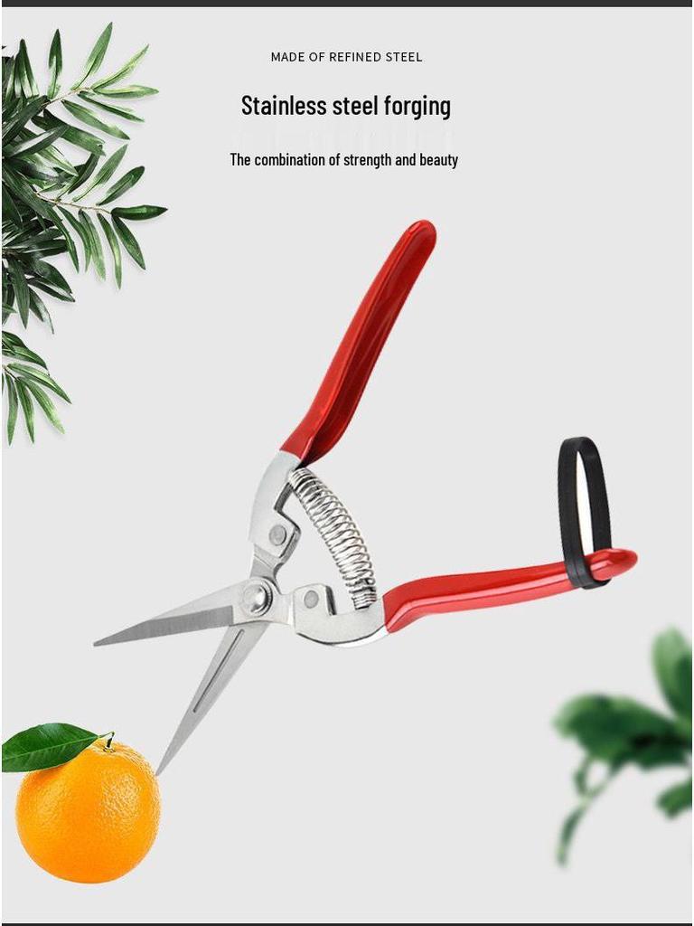 Gardening Shears Set: Pruning & Thinning Tools for Fruit, Vegetables, Sweet Potatoes, Grapes, and Apples; Includes Picking and Prickly Ash Shears.