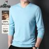 FORTEI Men's 100% Pure Wool V-Neck Pullover Sweater