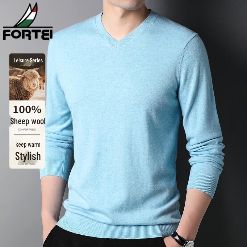 FORTEI Men's 100% Pure Wool V-Neck Pullover Sweater