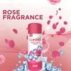 Candid Prickly Heat Powder With Rose | 120 Gm