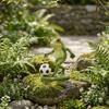 Weatherproof Frog Kicking Football Ornament Cute Frog Figurines Football Frog Sculpture  Desktop