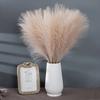 10 Units/Lot 55Cm Cute Decoration Fake Flower Reed Plant Simulated Artificial Pampas Christmas Wedding Party Fluffy Reed Grass