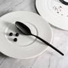 Velo Platinum Titanium Black Steak Spoon