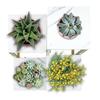 Standing flower stand, metal shelf, flower stand, plants, pots, 4 levels