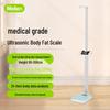 Meilen Smart Height & Body Fat Scale