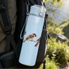 1PC Little Birds On Wire Branch Art Print 750ml Color Plastic Sports Water Bottle Leakproof Flip Straw Lid Suitable for Sports Office Home Use