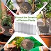 60 Stk Rodbeskytter Gnaver Sikker Trådkurv Engros 1 Gallon Plante Rodbeskytter Muldvarp Og Studsmus Net Trådkurve Rustfrit Stål Pl
