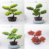 Home Decor Artificial Pine Tree With Plastic Material For Living Room And Office Display