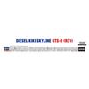 Hasegawa 1/24 Diesel Machine Skyline GTS-R R31 Plastic Model Kit 20406