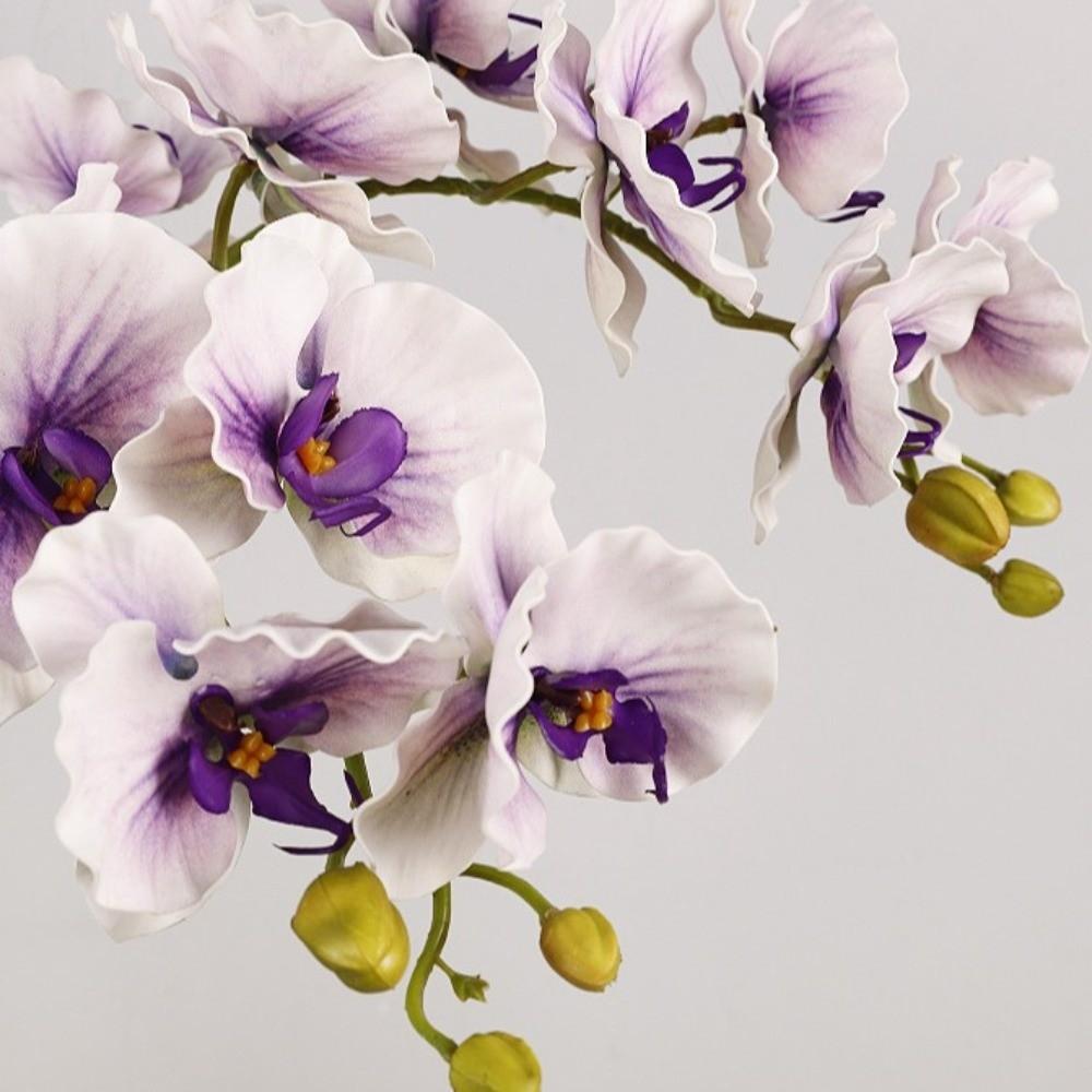 Butterfly Orchid Simulation Big Moth Orchid Real Touch Fake Flower Branch  Mother's Day Gift