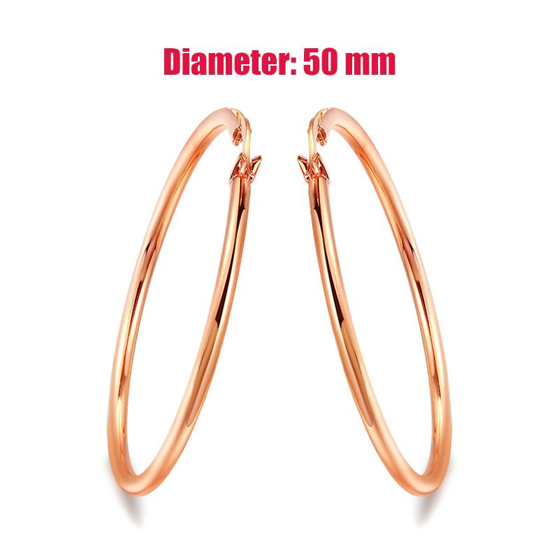 Big Hoop Earrings For Women Minimalist Circle Classic Cartilage Earring Rose Gold Color Hoops Fashion Jewelry Wholesale E780