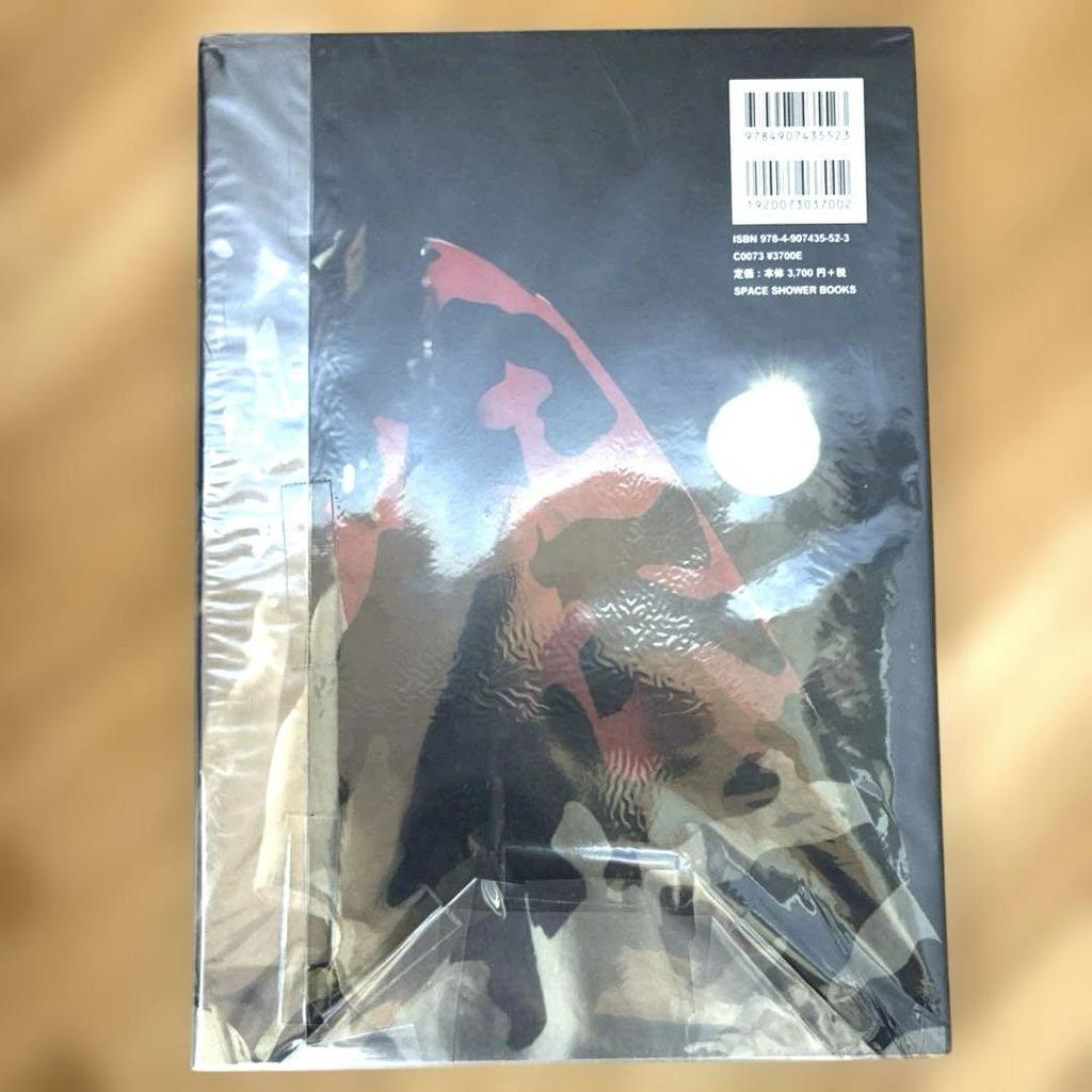 [USED] Ken Yokoyama and Teppei Kishida, Hi-STANDARD