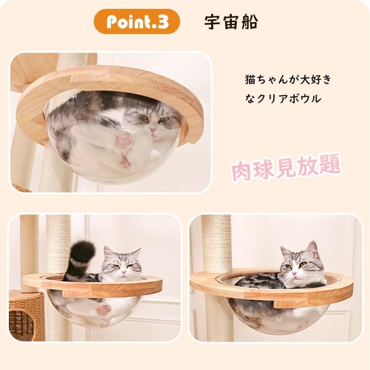 Nani New Cat tower made of natural for large interior for multiple with observation cat clear for claw 144cm stable [Nani Life] \2024 Model/ wood,