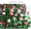 Artificial Rose Flower Vine for Wall & Pipe Decoration In Living Rooms, Malls & Courtyards