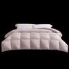 Mercury Home Textiles Cole Anti-Bacterial Anti-Mite Goose Down Comforter