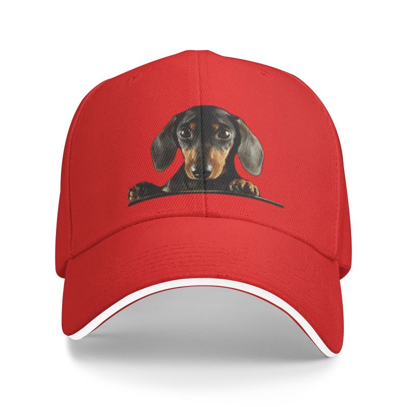 Casquette de Baseball personnalisée pour chien teckel, Hip Hop pour femmes, unisexe, réglable, animaux de compagnie, chapeau de papa, été