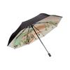 Aurora Silk Road Scarf and Umbrella Set