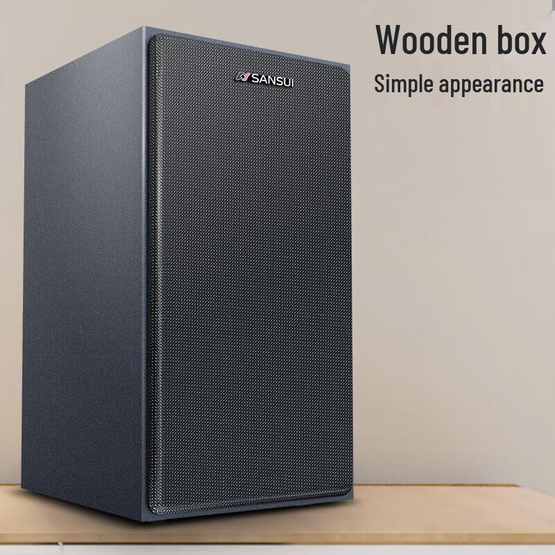 SANSUI H5 Home KTV Speaker System CN plug (adapter included)