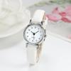 Quartz Watchesfor Women Ladies Small Dial Casual Watch Leather Wristwatch