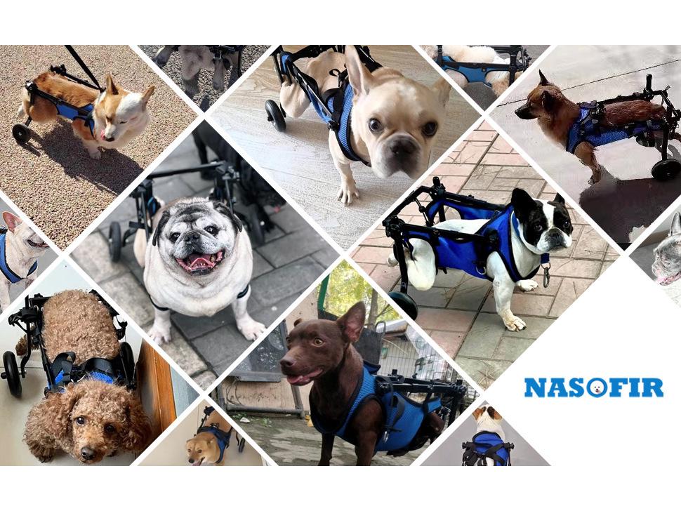 Pet Wheelchair: Rehabilitation Walking Aid & Booster Scooter for Dogs
