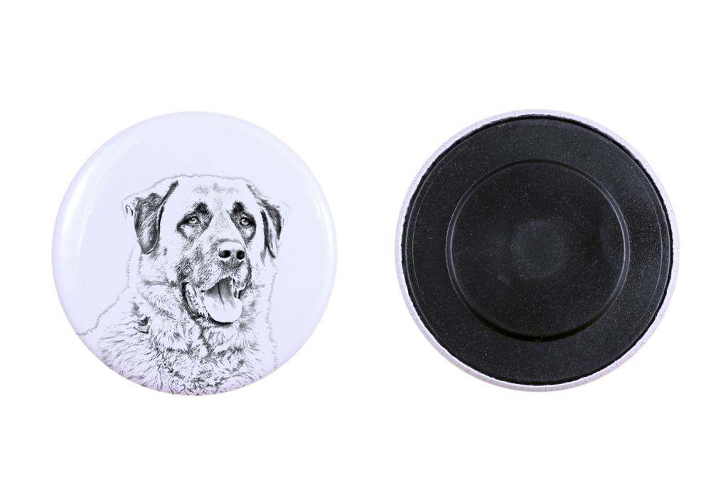 Anatolian Shepherd Dog, Turkish Kangal Dog – Magnet with a dog's pupil, exceptionally light – Design 01 | Art-Dog