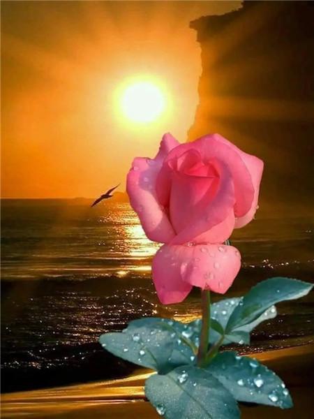 5D DIY Diament Malarstwo Nowy Kwiat Róży Dżetów Diament Haft Sprzedaż Krajobraz Nadmorski Mozaika Wystrój Domu