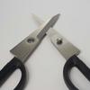 Kai Michel BRAS Kitchen Scissors, Small, Stainless Steel, Made In Japan, BK0202, Perfect for Fine Work and Finishing