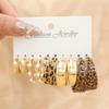10 Pcs Acrylic C-shaped Leopard Print Earring for Women European and American Metal Earrings Light Luxury Accessories