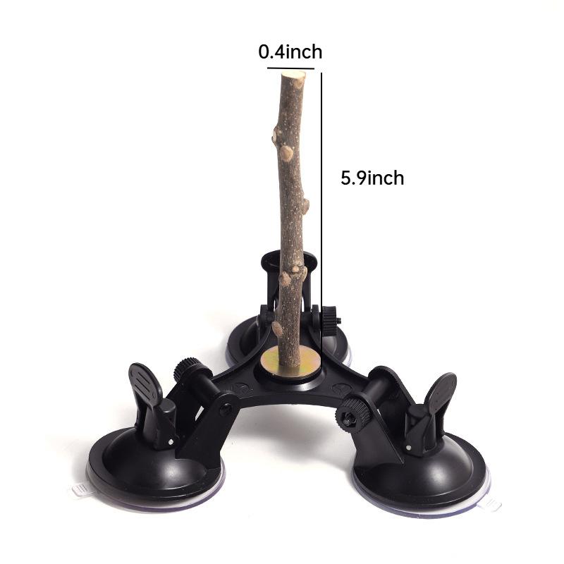 Suction Cup Bird Perch Quartz Sand Trimming Paws Triple Powerful Suction Cups Ideal Bird Window Perch for Any Smooth Surface