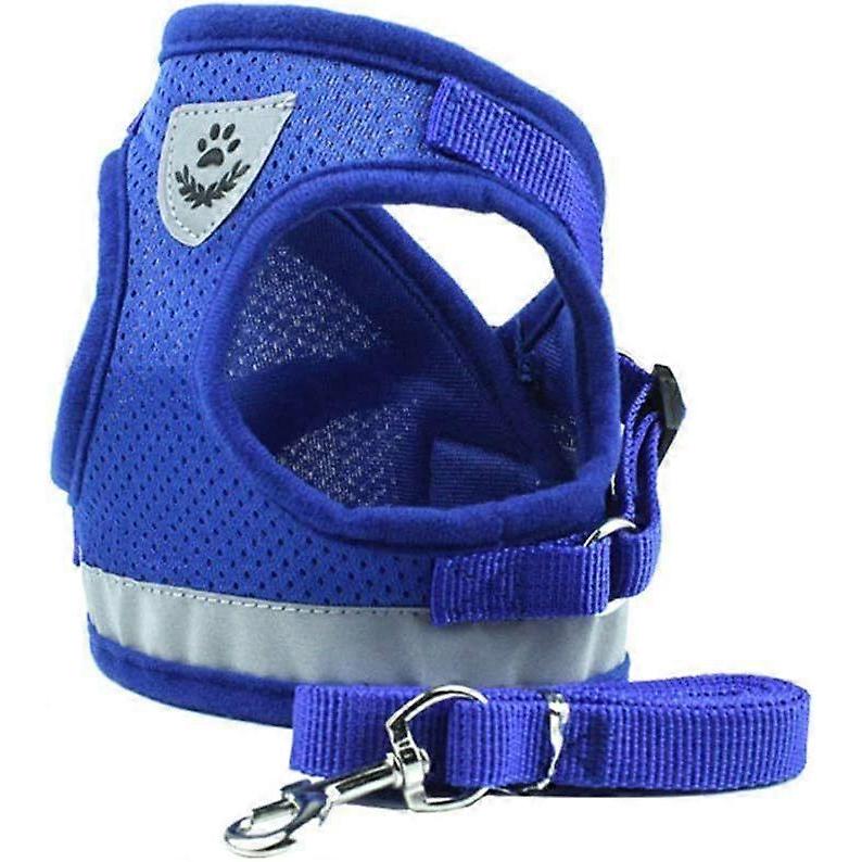 Best and Lead Set for Walking. Puppy Vest Harnesses Set for Small Breed Pet Fully Adjustable with Reflective Safe (Large. Blue)