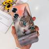 Coque de téléphone Mignonne Chat Astronaute Pour Oppo A60 OppoA60 A 60 Coque Arrière Pare-chocs Cool Dragon Dessin Animé Coque Transparente Oppo CPH2631 Capa