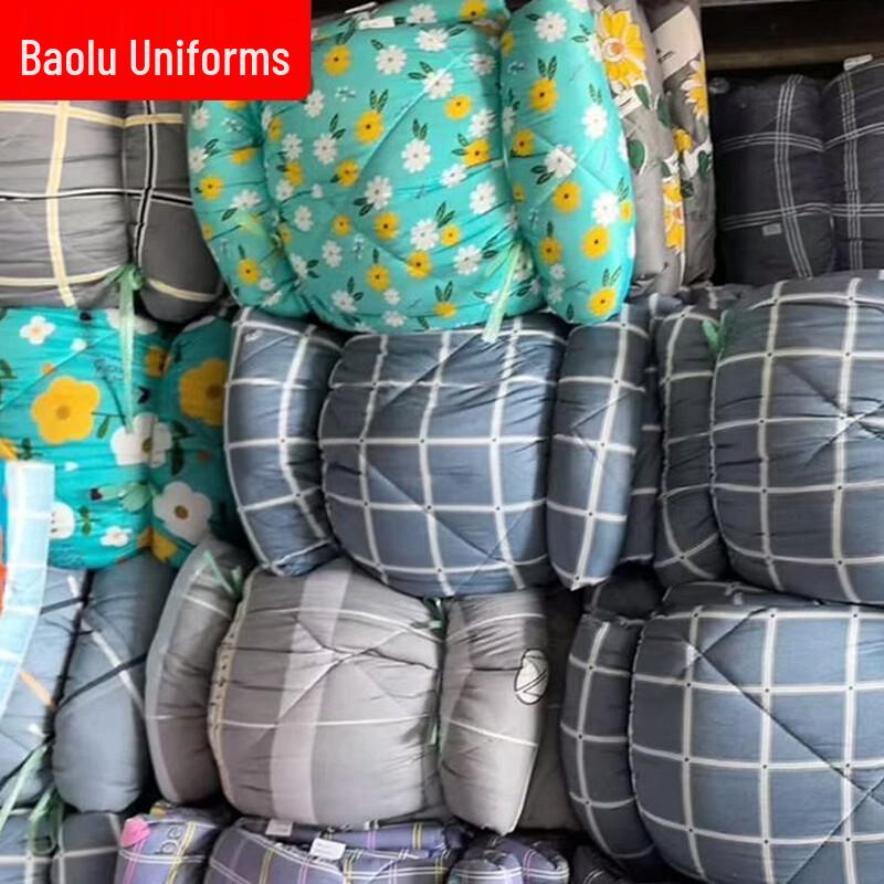 

Thickened Cotton Dormitory Quilt 0.9 x 2 m