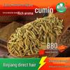 Puer