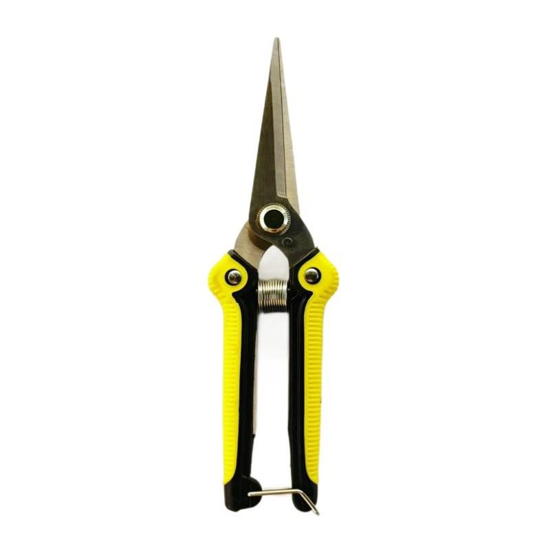 Stainless Steel Straight Head Pruning Shears for Garden, Fruit Picking, and Bonsai Trees