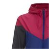 Nike Veste à capuche imprimée logo Vestes pour femmes Multicolore 545909-455