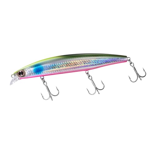 

Daiwa Shoreline Shiner Z Set Sea Bass Lure, Upper