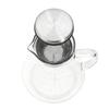 Cold Brew Coffee Maker with Stainless Steel Filter Borosilicate Glass Sealed Cold Brew Coffee Pitcher Jar for Ice