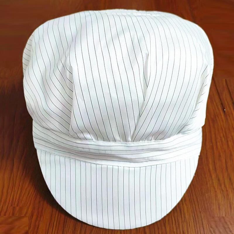 Anti-static Dust-proof Work Hat