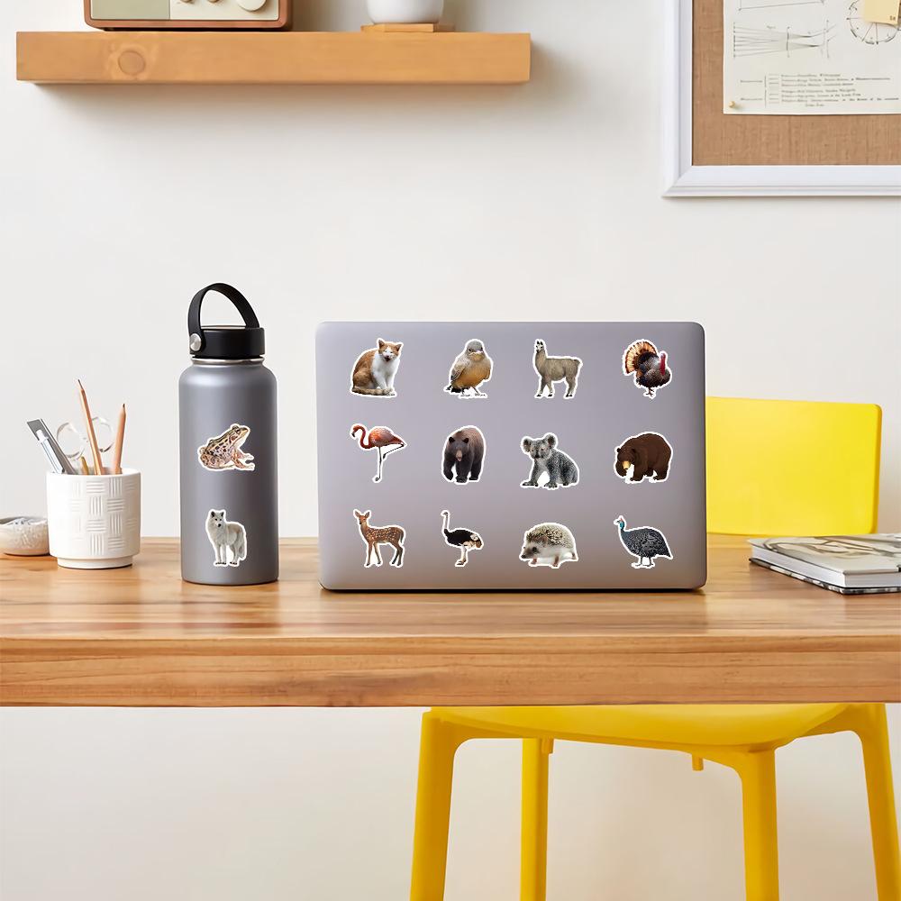 10/25/50 Stück Gemischte Wildtiere Dschungel Tiere Aufkleber Graffiti für Jungen Mädchen DIY Spielzeug Scrapbooking Wasserflasche Handy Kühlschrank