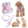 Dog Walking Harness Kit With Non Extendable Leash And Collar For Small Pets