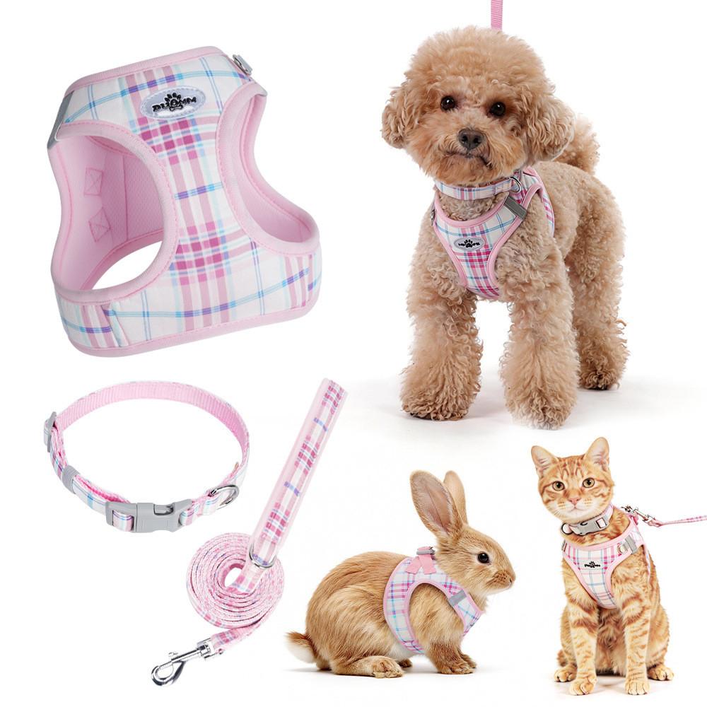 Dog Walking Harness Kit With Non Extendable Leash And Collar For Small Pets