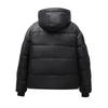 Oro Nero Vestiti Imbottiti di Cotone da Uomo Autunno e Inverno Giacca Casual da Uomo Vestiti Corti di Cotone Giovanile Ispessito e Caldo