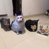 1 НАБІР паперова модель кота, кіт сумнівається, 3D оригамі кота, обертовий кіт, подарунки, милі прикраси [пакет матеріалів для оригамі] + ножиці + двосторонній скотч