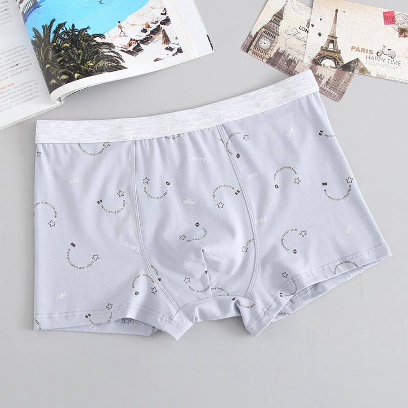 Sexy Herrenunterwäsche aus Baumwolle, atmungsaktiv, mit Aufdruck, Übergröße, flache Unterhose für Männer, mittlere Taille, lockere Passform, dicke Kerle, Jugendliche, Höschen mit vier Ecken