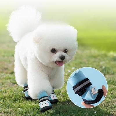 Ropa y calzado – Zapatos para perros