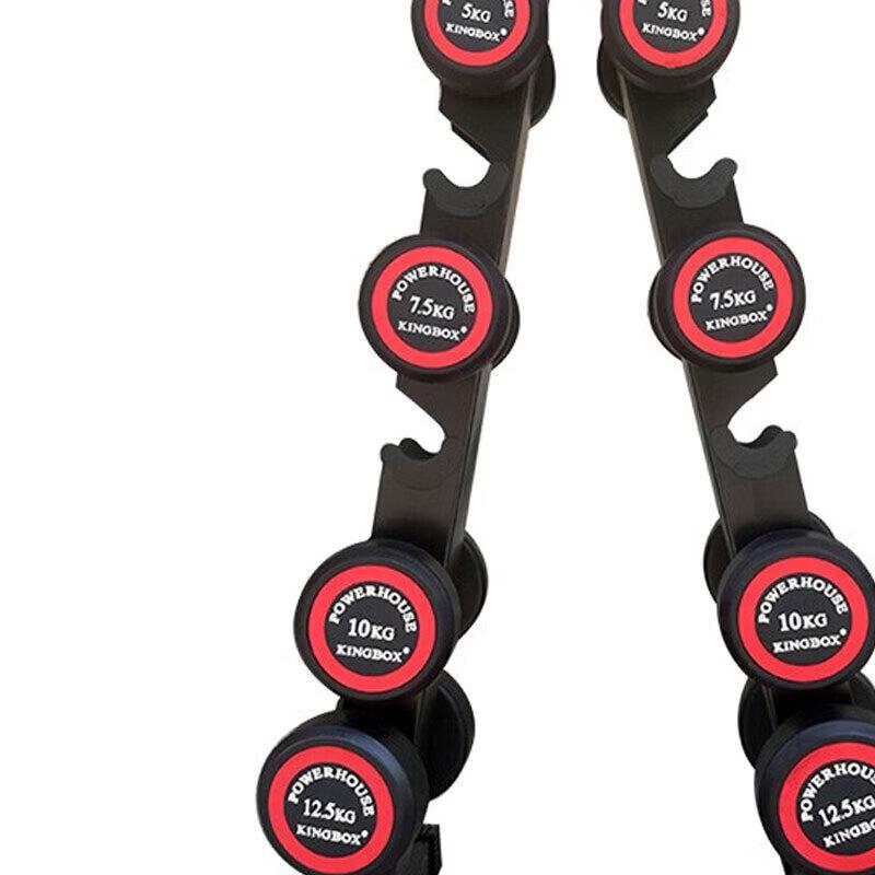Jingshengxun Double-Layer Dumbbell Rack