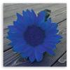 Canvas Print Blue Sunflower