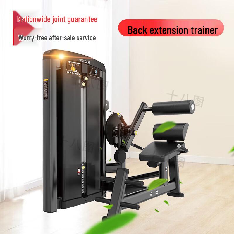 Back Stretch Trainer