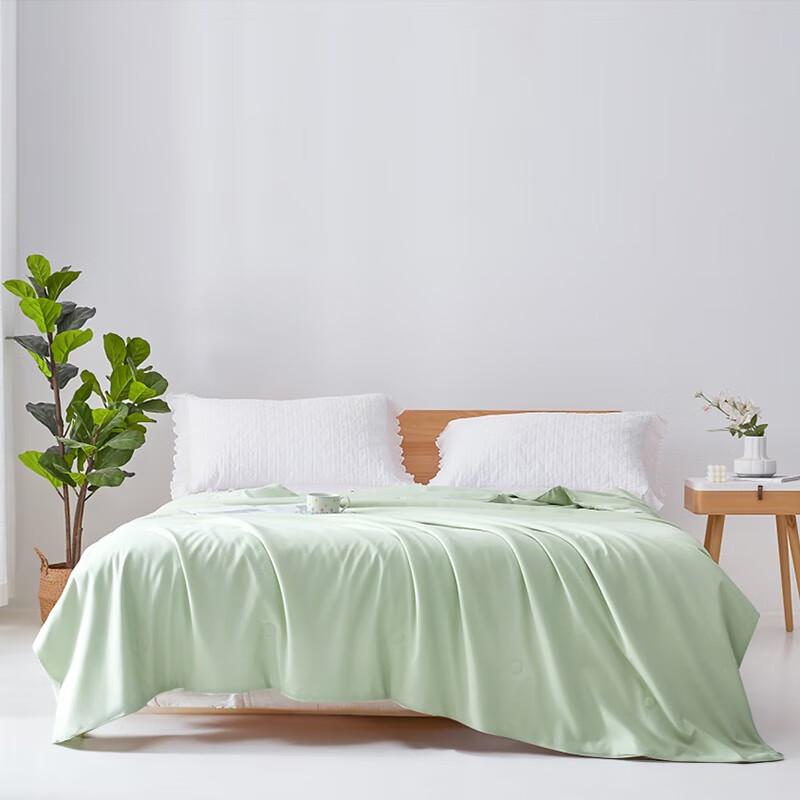 

Mengjie Washable Silk Summer Quilt