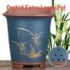 Maididuo Zisha Ceramic Orchid Pot